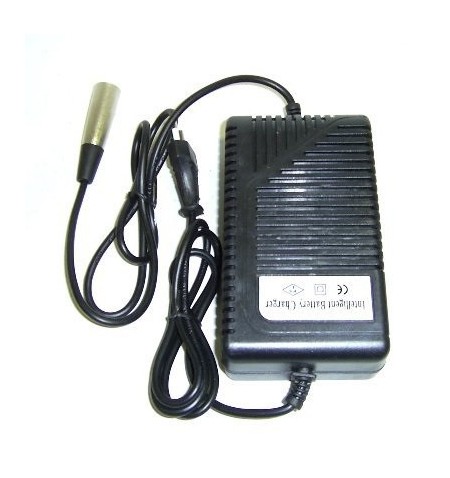 Pack 4 baterías (48V) para Raycool Warrior Rock 1800W de 12V 14Ah