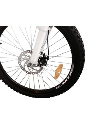 Bicicleta Eléctrica Boston Bike 24" batería de Litio
