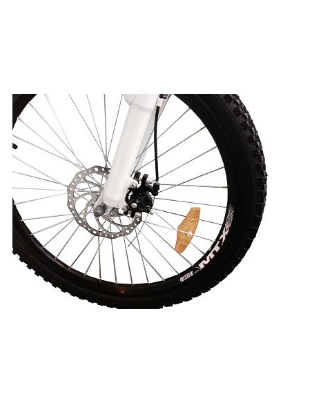 Bicicleta Eléctrica Boston Bike 24" batería de Litio