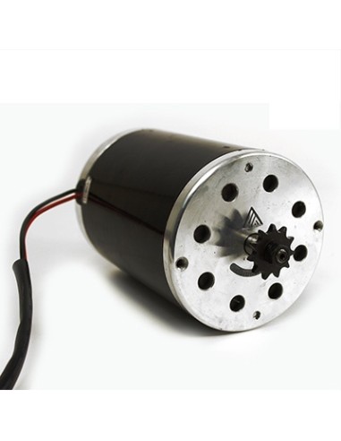 MOTOR ELECTRICO 48V PARA RAYCOOL 1800W