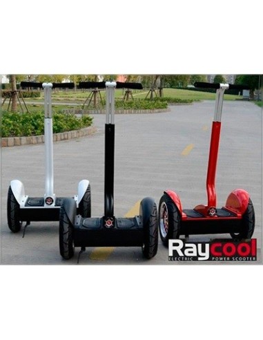 Nuevo patinete Raycool RX-1 New 2015 (Reserva)