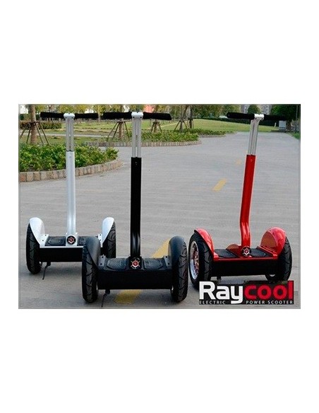 Nuevo patinete Raycool RX-1 New 2015 (Reserva)
